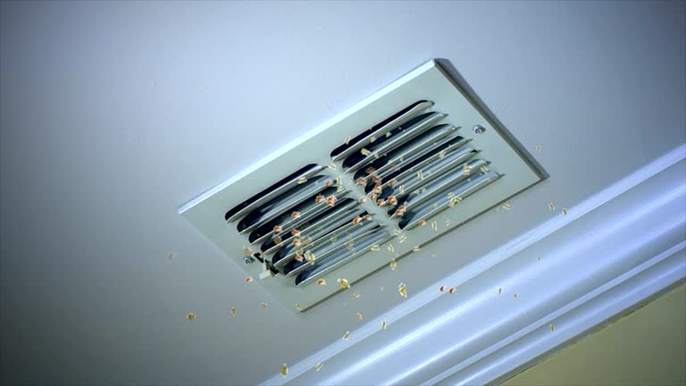 Best HVAC Duct Inspection Services  in Long Branch, VA