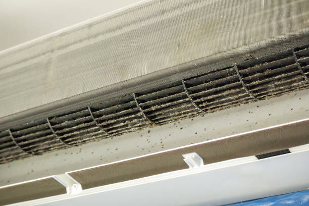 Best Duct Cleaning for Homes  in Long Branch, VA